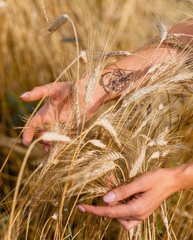 img-abramog-quemsomos2